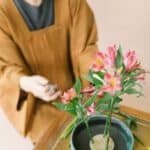 Ikebana - Tranquility of Japanese Floral Arrangements 8 ikebana