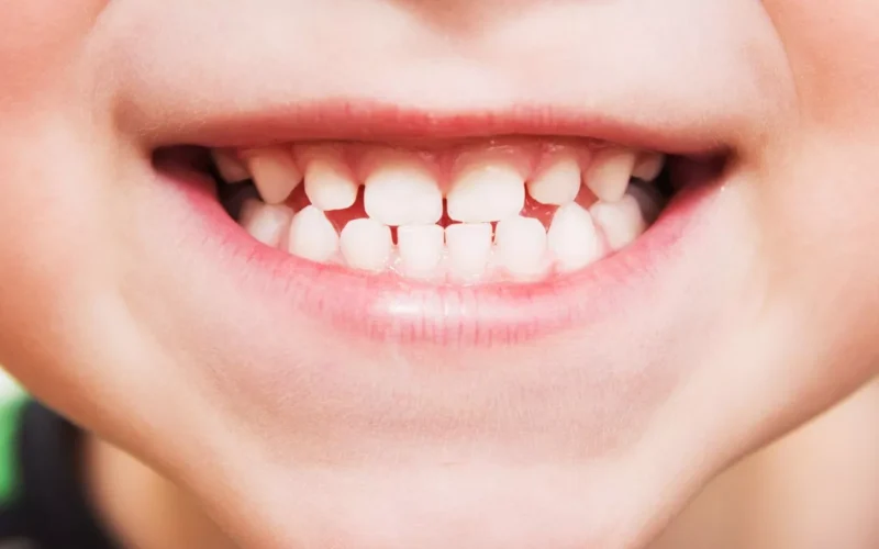Regrow New Teeth: Breakthroughs in Japan