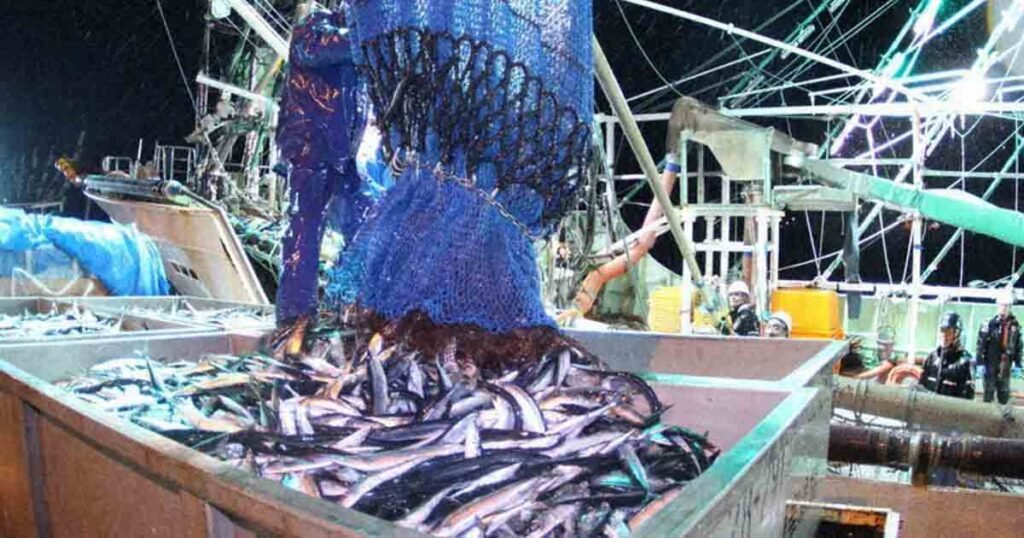 Japanese Fishing Communities Boost Profits Through Sea Industry 1 Japanese fishing communities